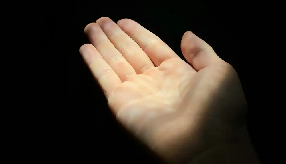  Hero Image: Open hand 